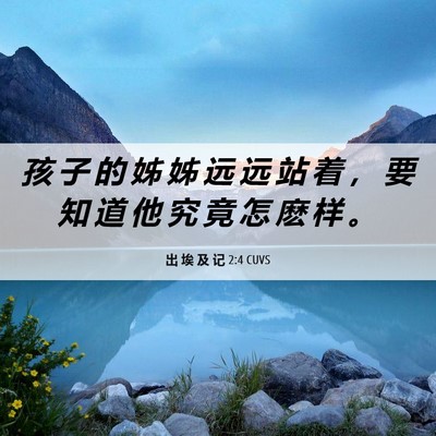 Picture 06 - 出 埃 及 记 2:4 CUVS - 孩 子 的 姊 姊 远 远 站 着 ， 要 知 - Bible Verse Picture