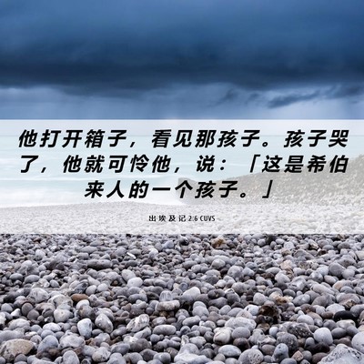 Picture 06 - 出 埃 及 记 2:6 CUVS - 他 打 开 箱 子 ， 看 见 那 孩 子 。 - Bible Verse Picture
