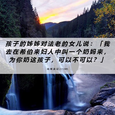 Picture 06 - 出 埃 及 记 2:7 CUVS - 孩 子 的 姊 姊 对 法 老 的 女 儿 说 - Bible Verse Picture