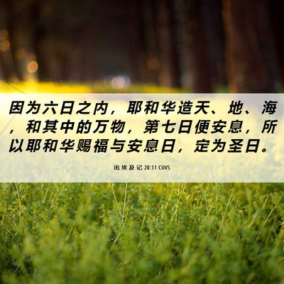 Picture 06 - 出 埃 及 记 20:11 CUVS - 因 为 六 日 之 内 ， 耶 和 华 造 天 - Bible Verse Picture