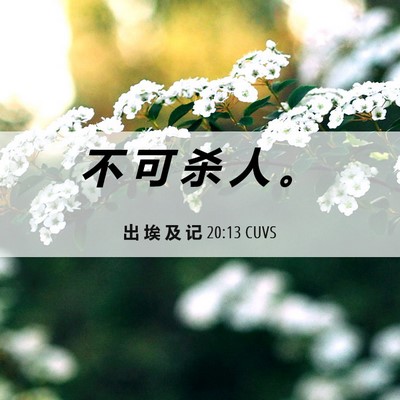 Picture 06 - 出 埃 及 记 20:13 CUVS - 不 可 杀 人 - Bible Verse Picture