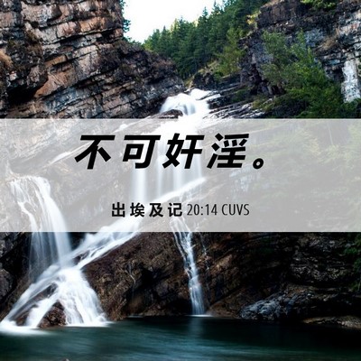 Picture 06 - 出 埃 及 记 20:14 CUVS - 不 可 奸 淫 - Bible Verse Picture