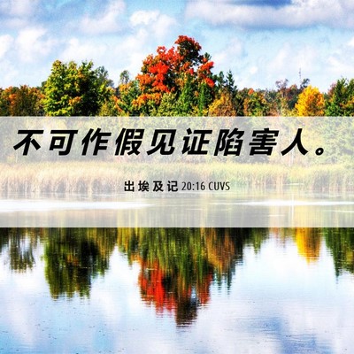 Picture 06 - 出 埃 及 记 20:16 CUVS - 不 可 作 假 见 证 陷 害 人 - Bible Verse Picture