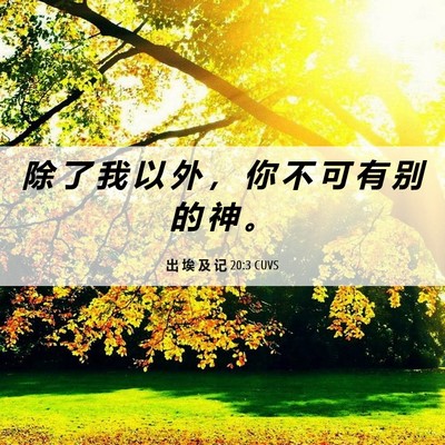 Picture 06 - 出 埃 及 记 20:3 CUVS - 除 了 我 以 外 ， 你 不 可 有 别 的 - Bible Verse Picture