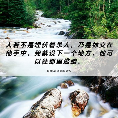 Picture 06 - 出 埃 及 记 21:13 CUVS - 人 若 不 是 埋 伏 着 杀 人 ， 乃 是 - Bible Verse Picture