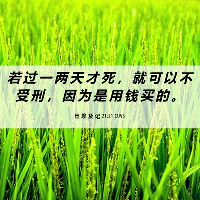 Picture 06 - 出 埃 及 记 21:21 CUVS - 若 过 一 两 天 才 死 ， 就 可 以 不 - Bible Verse Picture