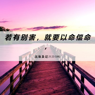 Picture 06 - 出 埃 及 记 21:23 CUVS - 若 有 别 害 ， 就 要 以 命 偿 命 - Bible Verse Picture