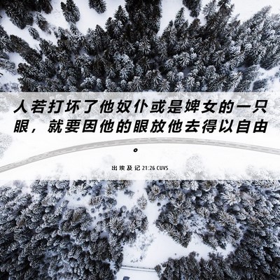Picture 06 - 出 埃 及 记 21:26 CUVS - 人 若 打 坏 了 他 奴 仆 或 是 婢 女 - Bible Verse Picture