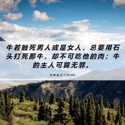 Picture 06 - 出 埃 及 记 21:28 CUVS - 牛 若 触 死 男 人 或 是 女 人 ， 总 - Bible Verse Picture