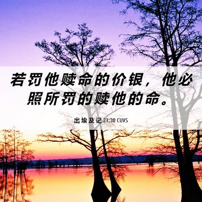 Picture 06 - 出 埃 及 记 21:30 CUVS - 若 罚 他 赎 命 的 价 银 ， 他 必 照 - Bible Verse Picture
