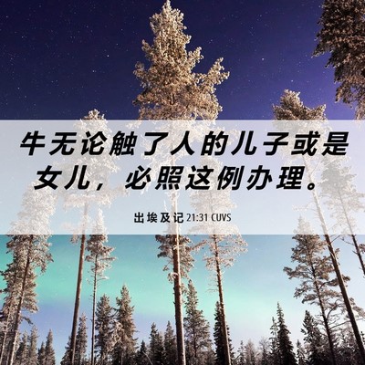 Picture 06 - 出 埃 及 记 21:31 CUVS - 牛 无 论 触 了 人 的 儿 子 或 是 女 - Bible Verse Picture