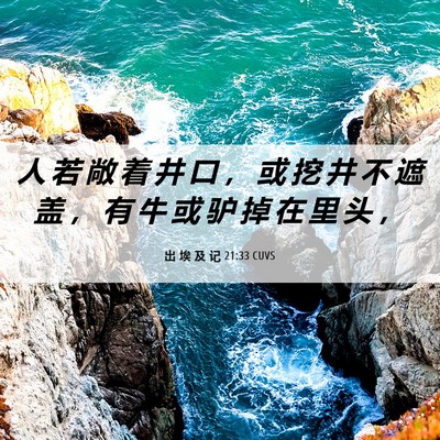 Picture 06 - 出 埃 及 记 21:33 CUVS - 人 若 敞 着 井 口 ， 或 挖 井 不 遮 - Bible Verse Picture
