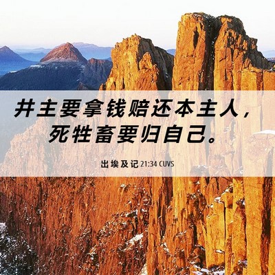 Picture 06 - 出 埃 及 记 21:34 CUVS - 井 主 要 拿 钱 赔 还 本 主 人 ， 死 - Bible Verse Picture