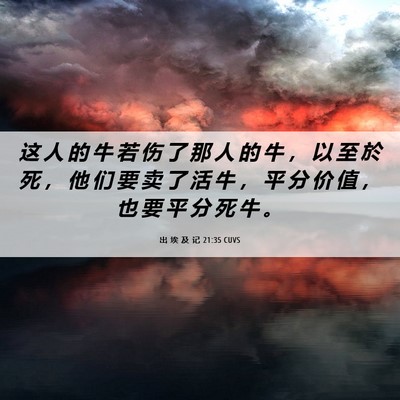 Picture 06 - 出 埃 及 记 21:35 CUVS - 这 人 的 牛 若 伤 了 那 人 的 牛 ， - Bible Verse Picture
