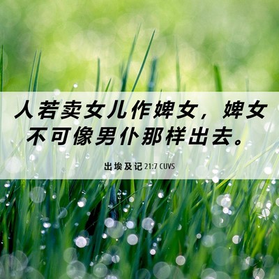 Picture 06 - 出 埃 及 记 21:7 CUVS - 人 若 卖 女 儿 作 婢 女 ， 婢 女 不 - Bible Verse Picture