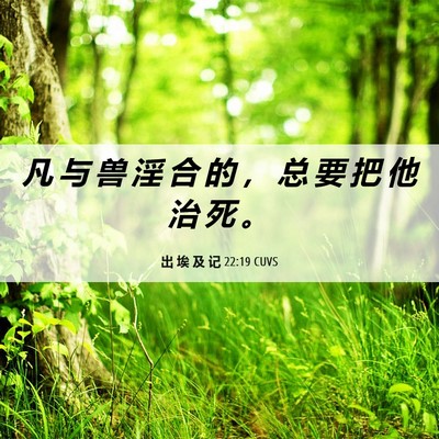 Picture 06 - 出 埃 及 记 22:19 CUVS - 凡 与 兽 淫 合 的 ， 总 要 把 他 治 - Bible Verse Picture