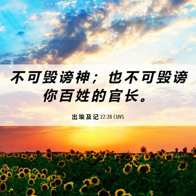 Picture 06 - 出 埃 及 记 22:28 CUVS - 不 可 毁 谤 神 ； 也 不 可 毁 谤 你 - Bible Verse Picture