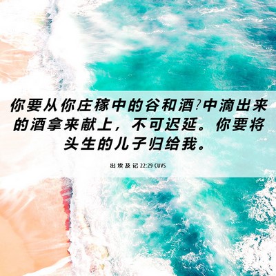 Picture 06 - 出 埃 及 记 22:29 CUVS - 你 要 从 你 庄 稼 中 的 谷 和 酒 ? 中 - Bible Verse Picture