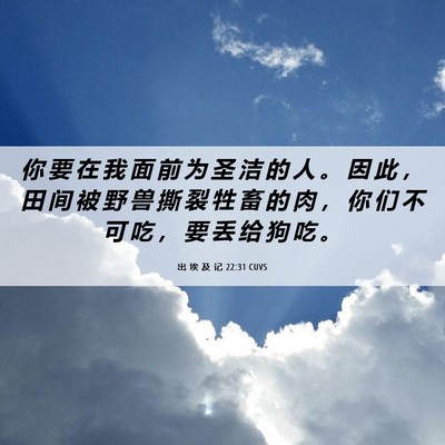 Picture 06 - 出 埃 及 记 22:31 CUVS - 你 要 在 我 面 前 为 圣 洁 的 人 。 - Bible Verse Picture
