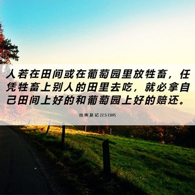 Picture 06 - 出 埃 及 记 22:5 CUVS - 人 若 在 田 间 或 在 葡 萄 园 里 放 - Bible Verse Picture