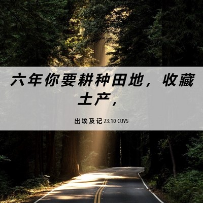 Picture 06 - 出 埃 及 记 23:10 CUVS - 六 年 你 要 耕 种 田 地 ， 收 藏 土 - Bible Verse Picture