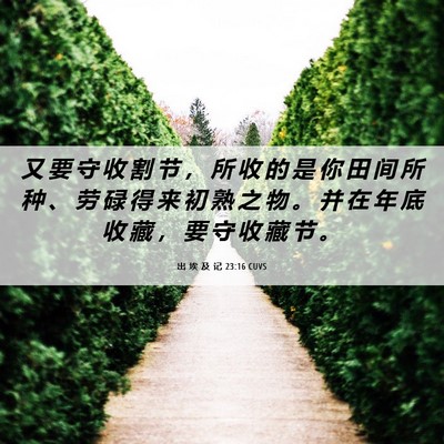 Picture 06 - 出 埃 及 记 23:16 CUVS - 又 要 守 收 割 节 ， 所 收 的 是 你 - Bible Verse Picture