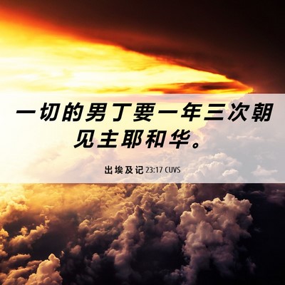 Picture 06 - 出 埃 及 记 23:17 CUVS - 一 切 的 男 丁 要 一 年 三 次 朝 见 - Bible Verse Picture