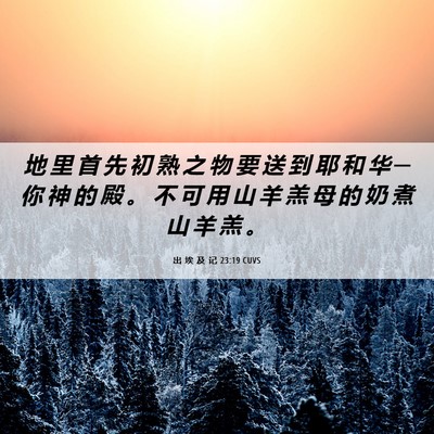 Picture 06 - 出 埃 及 记 23:19 CUVS - 地 里 首 先 初 熟 之 物 要 送 到 耶 - Bible Verse Picture