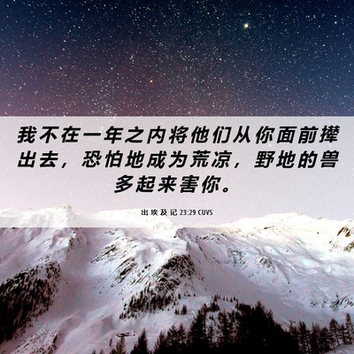 Picture 06 - 出 埃 及 记 23:29 CUVS - 我 不 在 一 年 之 内 将 他 们 从 你 - Bible Verse Picture
