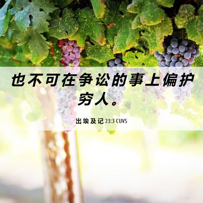 Picture 06 - 出 埃 及 记 23:3 CUVS - 也 不 可 在 争 讼 的 事 上 偏 护 穷 - Bible Verse Picture