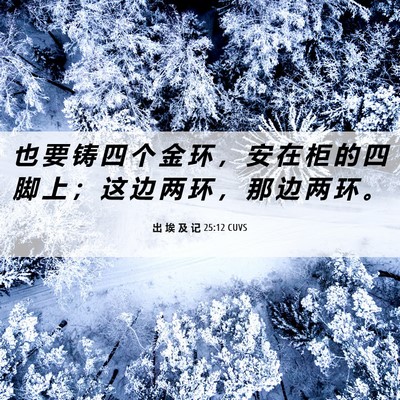 Picture 06 - 出 埃 及 记 25:12 CUVS - 也 要 铸 四 个 金 环 ， 安 在 柜 的 - Bible Verse Picture