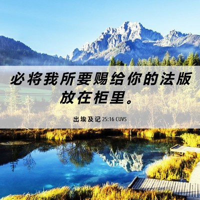 Picture 06 - 出 埃 及 记 25:16 CUVS - 必 将 我 所 要 赐 给 你 的 法 版 放 - Bible Verse Picture