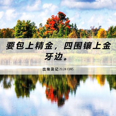 Picture 06 - 出 埃 及 记 25:24 CUVS - 要 包 上 精 金 ， 四 围 镶 上 金 牙 - Bible Verse Picture