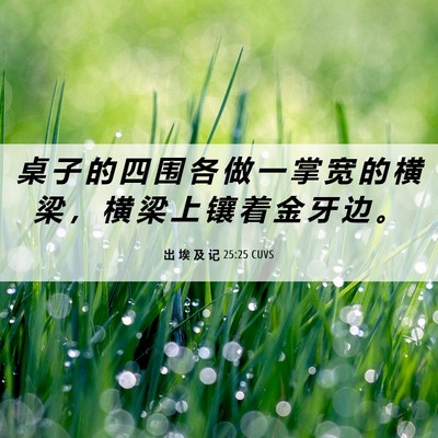 Picture 06 - 出 埃 及 记 25:25 CUVS - 桌 子 的 四 围 各 做 一 掌 宽 的 横 - Bible Verse Picture