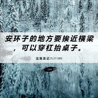 Picture 06 - 出 埃 及 记 25:27 CUVS - 安 环 子 的 地 方 要 挨 近 横 梁 ， - Bible Verse Picture