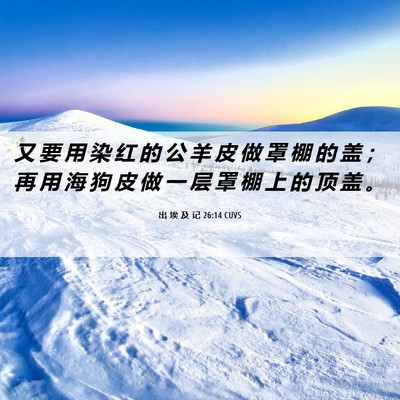 Picture 06 - 出 埃 及 记 26:14 CUVS - 又 要 用 染 红 的 公 羊 皮 做 罩 棚 - Bible Verse Picture