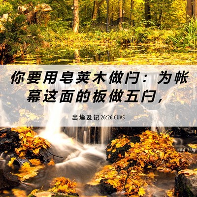 Picture 06 - 出 埃 及 记 26:26 CUVS - 你 要 用 皂 荚 木 做 闩 ： 为 帐 幕 - Bible Verse Picture
