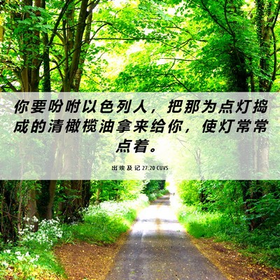 Picture 06 - 出 埃 及 记 27:20 CUVS - 你 要 吩 咐 以 色 列 人 ， 把 那 为 - Bible Verse Picture