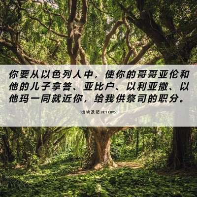 Picture 06 - 出 埃 及 记 28:1 CUVS - 你 要 从 以 色 列 人 中 ， 使 你 的 - Bible Verse Picture