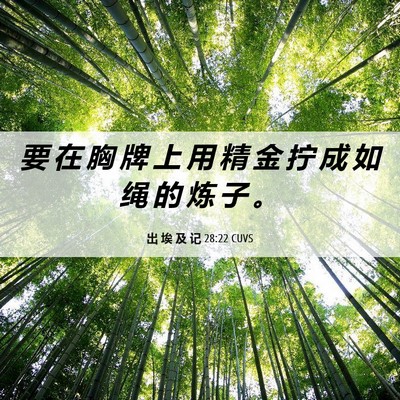 Picture 06 - 出 埃 及 记 28:22 CUVS - 要 在 胸 牌 上 用 精 金 拧 成 如 绳 - Bible Verse Picture