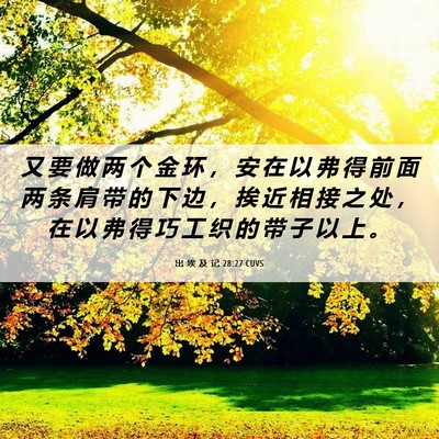 Picture 06 - 出 埃 及 记 28:27 CUVS - 又 要 做 两 个 金 环 ， 安 在 以 弗 - Bible Verse Picture
