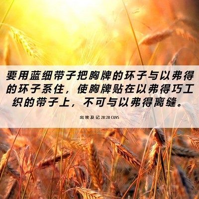 Picture 06 - 出 埃 及 记 28:28 CUVS - 要 用 蓝 细 带 子 把 胸 牌 的 环 子 - Bible Verse Picture