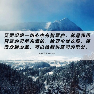 Picture 06 - 出 埃 及 记 28:3 CUVS - 又 要 吩 咐 一 切 心 中 有 智 慧 的 - Bible Verse Picture