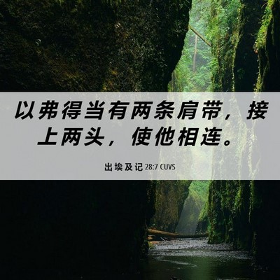 Picture 06 - 出 埃 及 记 28:7 CUVS - 以 弗 得 当 有 两 条 肩 带 ， 接 上 - Bible Verse Picture