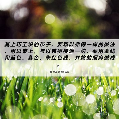 Picture 06 - 出 埃 及 记 28:8 CUVS - 其 上 巧 工 织 的 带 子 ， 要 和 以 - Bible Verse Picture
