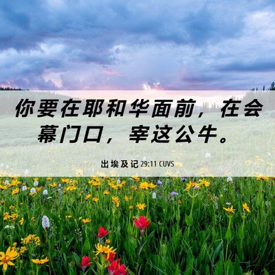 Picture 06 - 出 埃 及 记 29:11 CUVS - 你 要 在 耶 和 华 面 前 ， 在 会 幕 - Bible Verse Picture
