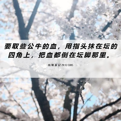 Picture 06 - 出 埃 及 记 29:12 CUVS - 要 取 些 公 牛 的 血 ， 用 指 头 抹 - Bible Verse Picture