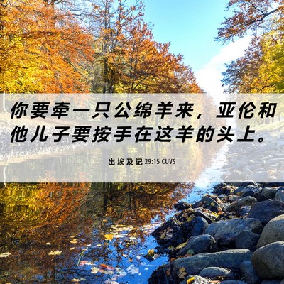 Picture 06 - 出 埃 及 记 29:15 CUVS - 你 要 牵 一 只 公 绵 羊 来 ， 亚 伦 - Bible Verse Picture