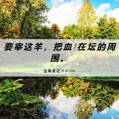 Picture 06 - 出 埃 及 记 29:16 CUVS - 要 宰 这 羊 ， 把 血 ? 在 坛 的 周 围 - Bible Verse Picture