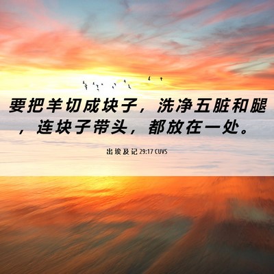 Picture 06 - 出 埃 及 记 29:17 CUVS - 要 把 羊 切 成 块 子 ， 洗 净 五 脏 - Bible Verse Picture